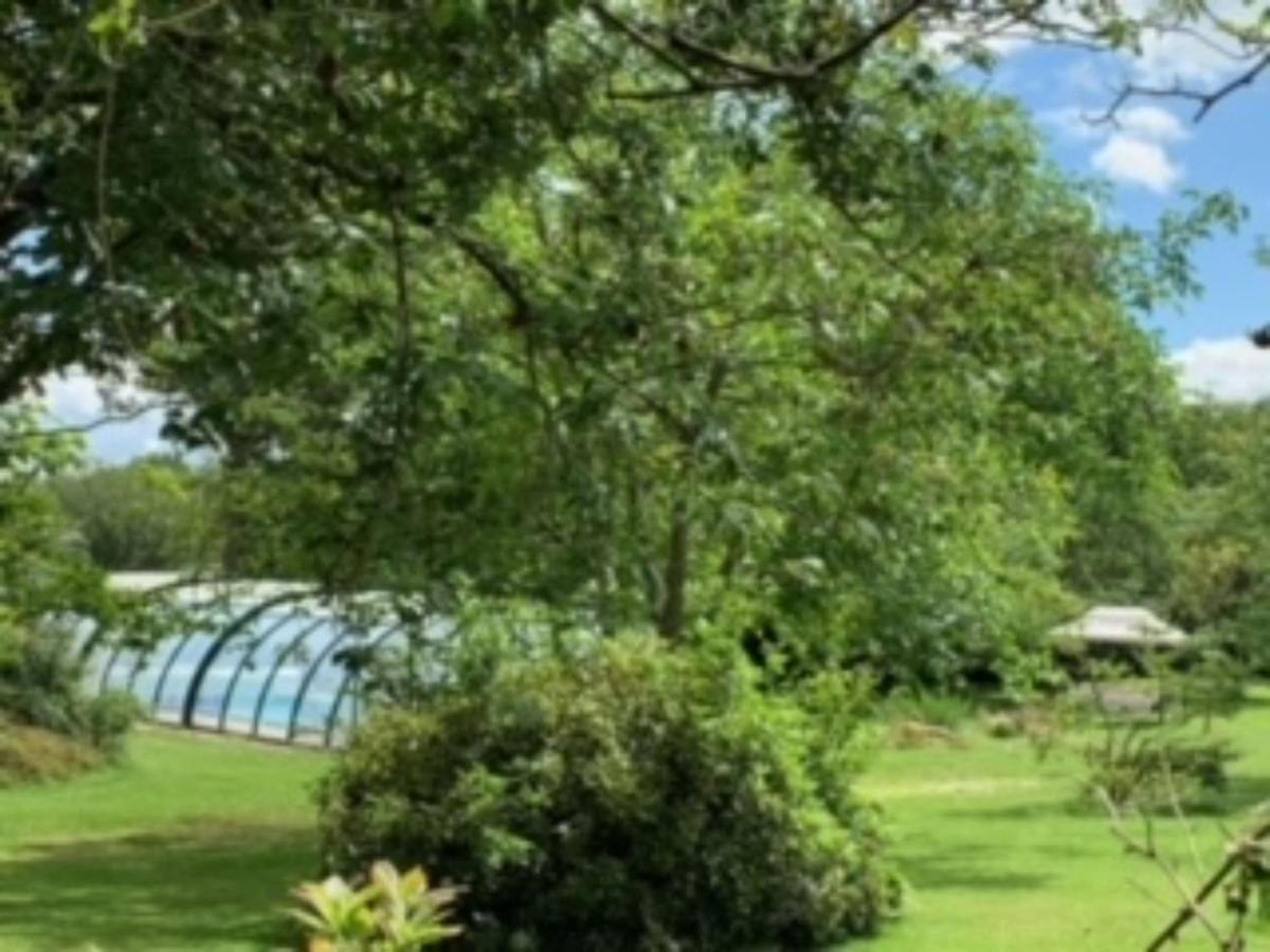 La Guerche-de-Bretagne La Clotiere Bed & Breakfast エクステリア 写真